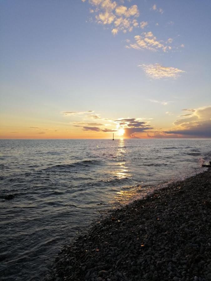 Apartments Pepe Novigrad  ภายนอก รูปภาพ
